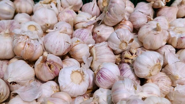 Stack of garlic in grocery store. Industry of selling products