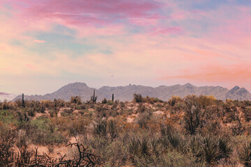 Scottsdale Arizona Desert Pastel Summer Sunset