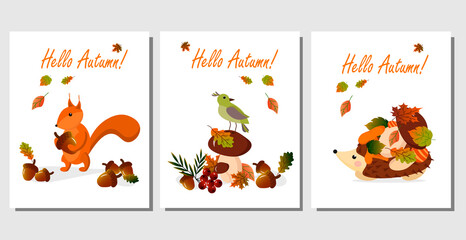Set of autumn card with hedgehog, squirrel and bird. Acorns, mushrooms, autumn leaves and animals in the forest. Vector illustration. For postcards, invitations, covers, gift shops and markets
