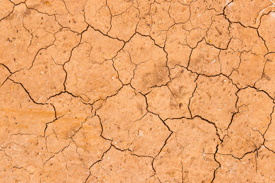 Dry cracking red soil 