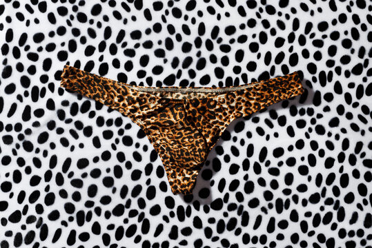 leopard thong on an animal print fabric