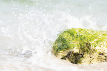 Water splashing against rock