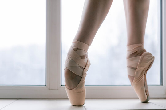 Aesthetics of ballet dancer 