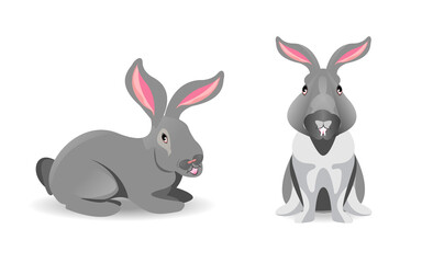 Obraz na płótnie Canvas Cute rabbit cartoon. white background. Flat style design vector illustrationCute rabbit cartoon. Cute gray rabbit isolated on white background. Flat style design vector illustration