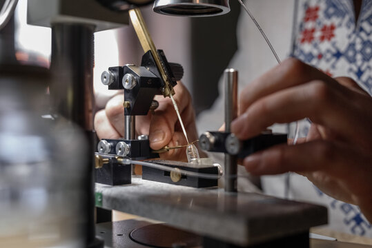 Unrecognizable beekeeper inseminate queen bee with hooks and injector