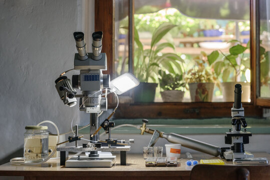 Illuminated microscope on lab table in apiary