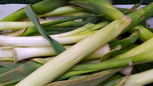 Stack of leek in grocery store. Industry of selling products