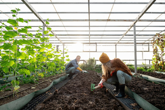 Young gardeners ploughing garden bed