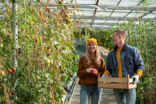 Happy gardeners with box in greenhouse