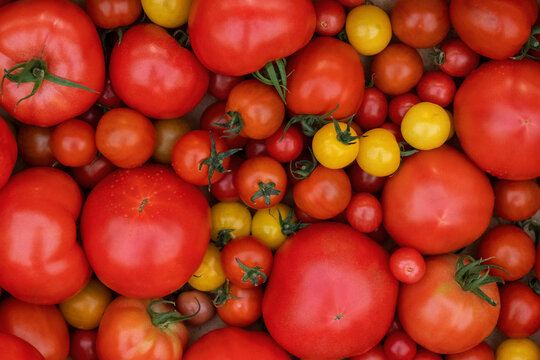Bunch of fresh ripe tomatoes