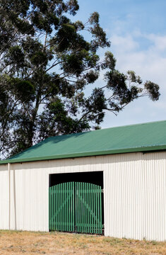 Farm shed doors of a gate next to a gum tree