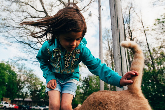 Girl petting orange striped cat.