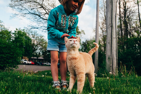 Girl petting orange striped cat.
