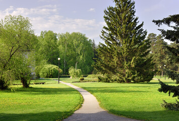 A path in the landscaped garden. Tall fir trees, fresh foliage of trees, grass on the lawn in...