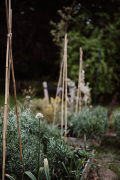Square meter gardening with flowers