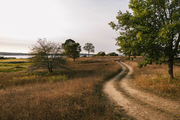 Dirt Road Landscape in Rhode Island