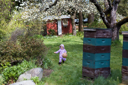 Little girl walks back from collecting eggs on her farm