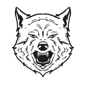 Outline Vector illustration of a Wolf Head