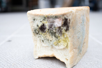 Moldy bread close up with different color of molds
