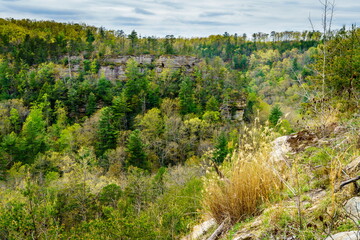 Red River Gorge Geological Area