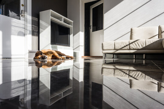 interior room with light and shadow