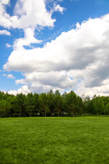 Landscape of fresh lawn, forest and cloudy sky background, vertical copy space