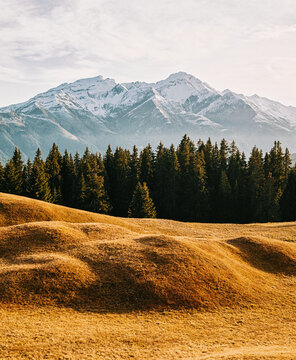 Fototapeta Change of Season - Fall Colors in Swiss Alps