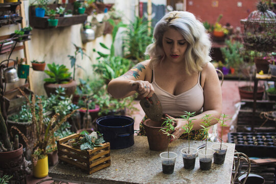 Gardening with cannabis plants