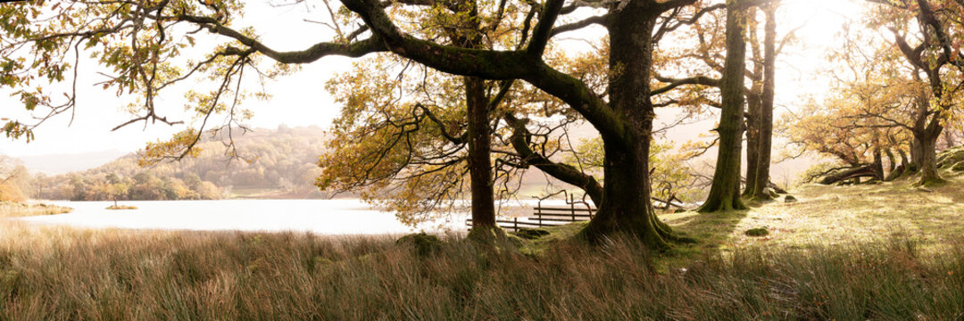 Rydal Water in autumn in the lake district