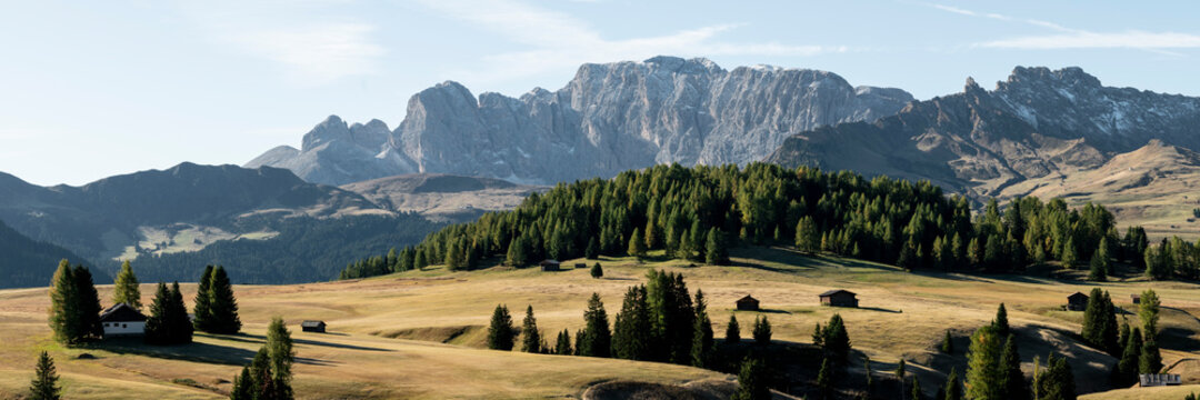 Alpe di Siusi Seiser Alm Gruppo del Catinaccio Alpine meadow Ita