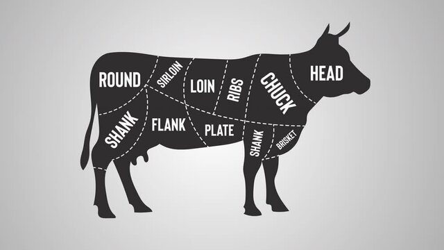 Beef Butchers Chart. Cow Cuts Motion Graphic. 4k Animal Chart. Flank. Shank. Chuck. Sirloin. Animal Parts.