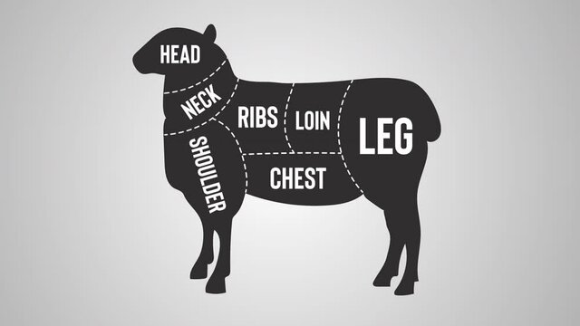 Lamb Butchers Chart. Sheep Cuts Motion Graphic. 4k Animal Chart. Leg. Chest. Shoulder. Loin.