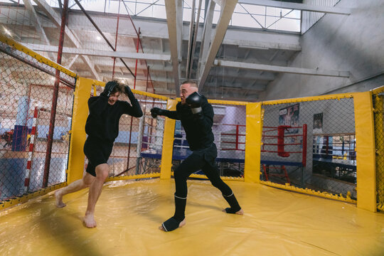 pugilists fighting bout 