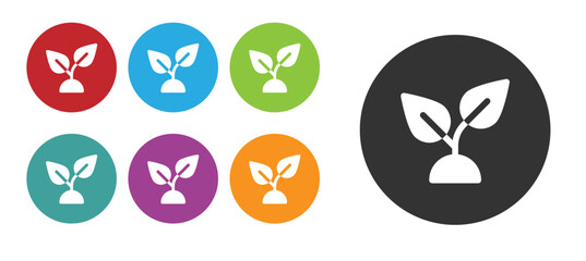 Black Plant based icon isolated on white background. Set icons colorful. Vector