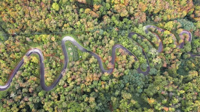 Van on curved road among countryside trees during autumn. Aerial top down. serpentine in Italy