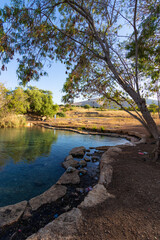 A clear and large freshwater pool in Ein Shokek, the Valley of the Springs - Israel