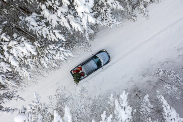 Pickup truck in a winter forest with a christmas tree, bird eye view, diagonal
