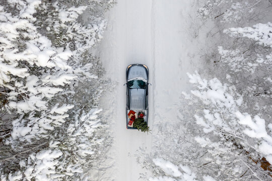 Pickup truck in a winter forest covered with snow with a christmas tree