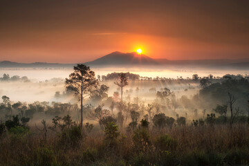Thung Salaeng Luang National Park Beautiful green hills glowing warm sunrise,Dramatic shine silhouette tree colorful warm above mountain at Phetchabun Province,Thailand