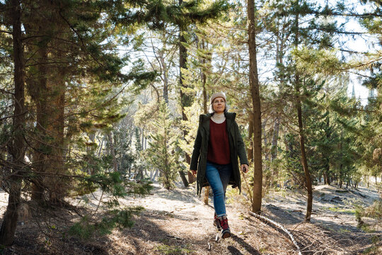 Middle aged female walking in coniferous forest