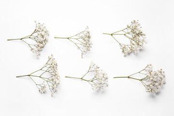 Beautiful gypsophila flowers on white background