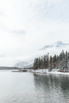 Snowy fir trees by lake in banff, alberta