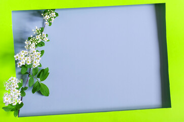 A green frame decorated with bright white flowers on a light background of the mine space. Flat lei bright green frame and flower and leaf decor - Powered by Adobe
