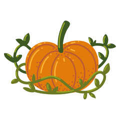 pumpkin leaves organic