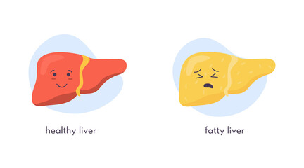 Unhealthy fatty and healthy happy liver character. Sad kawaii crying suffering and Smiling strong icon of human organ on blob background. Vector illustration in flat cartoon style isolated on white.