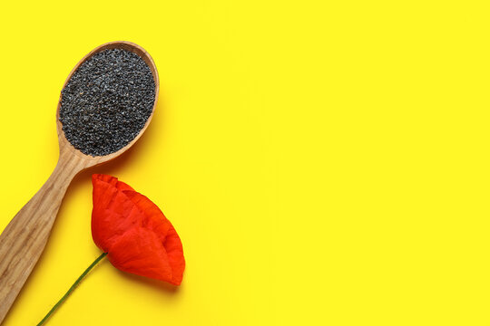 Spoon with poppy seeds and flower on color background