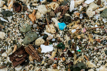 海岸に流れ着いたプラスチックごみ