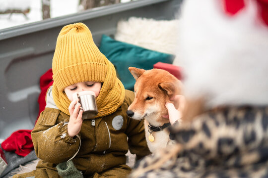 Child and dog on picnic