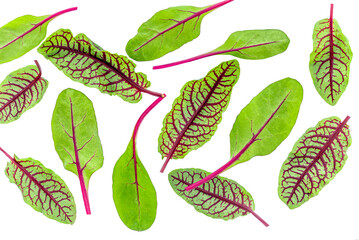 Fresh beetroot and chard leaves isolated on white background. Pattern. Creative layout. Salad Leaf .