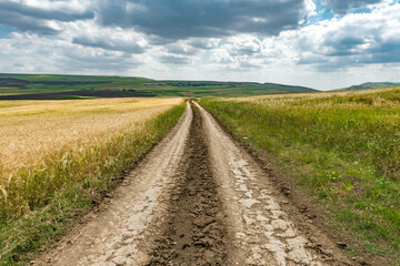 Fototapeta na wymiar Rural dirt road among farm fields